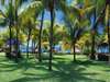 Royal Palm Hotel - palm trees in the garden